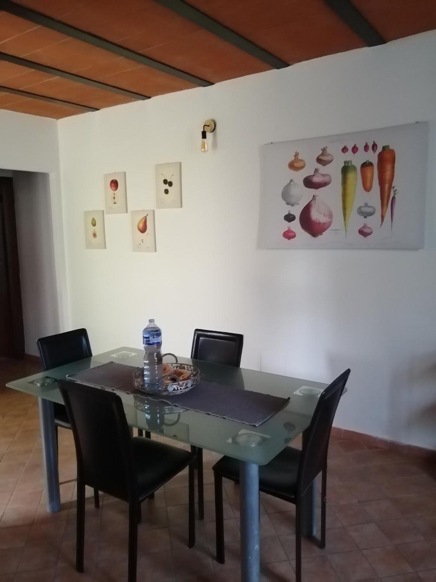 A Casa Mia Apartment Pisa Exterior photo